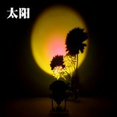thumbnail image 2 of CNKOO Projector USB Decoration Projection Light Atmosphere Background Home Desk Night Lamp  Maple-leaf Red, 2 of 10