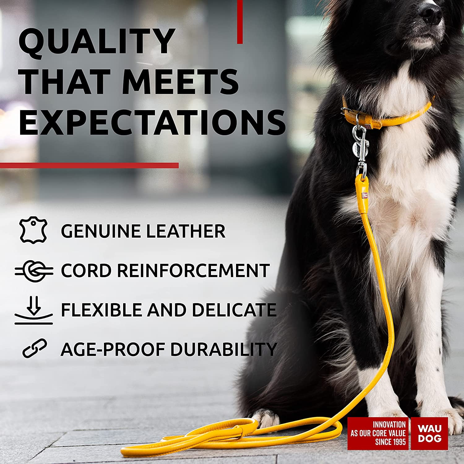 Glamour Rolled Leather Dog Leash for Small Medium and Large Dogs | Heavy Duty Strong Leather Puppy Leash for Outdoor Walking Running Training | Strong Dog Leashes for Large Breed Dogs - Yellow