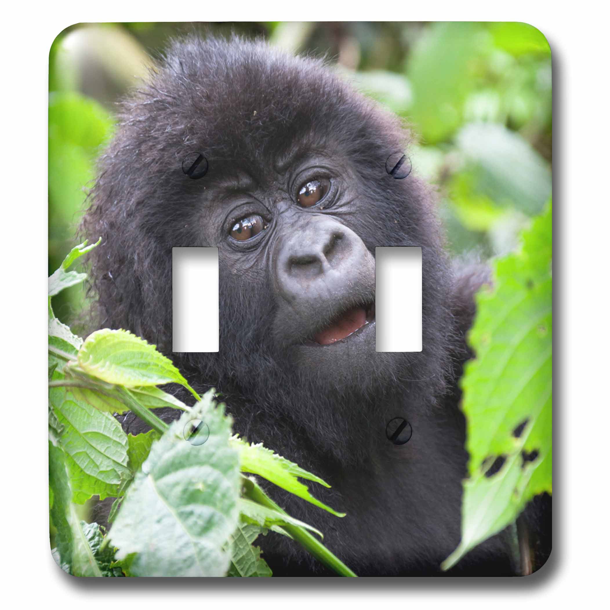 Gorilla Gorilla Central West African Rainforest Double Toggle Switch 3dRose lsp_37628_2 Lowland Gorila 
