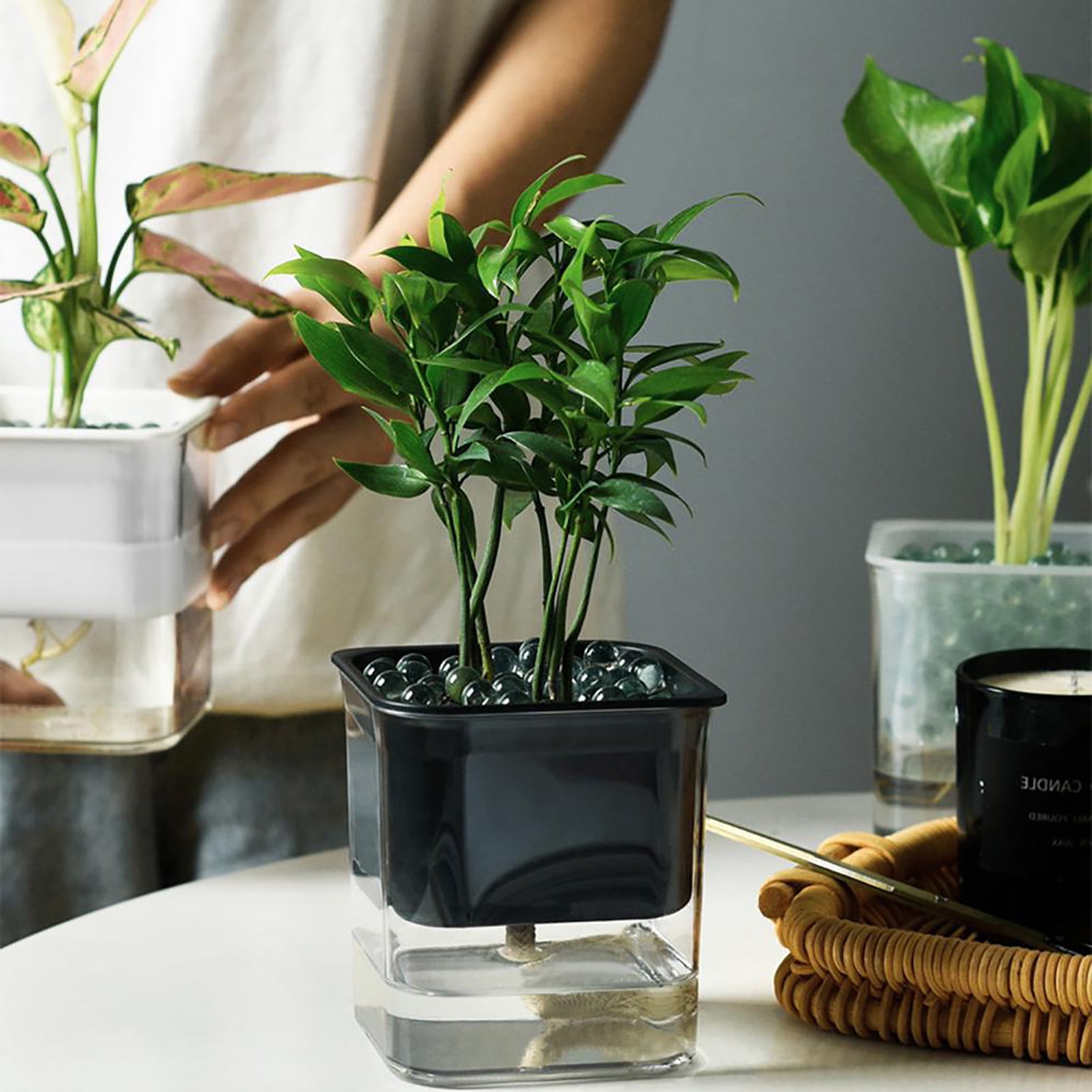 Details about   1 Pcs Flower Plant Pots Indoor Garden For Succulent Plant Pot Small Planter US 