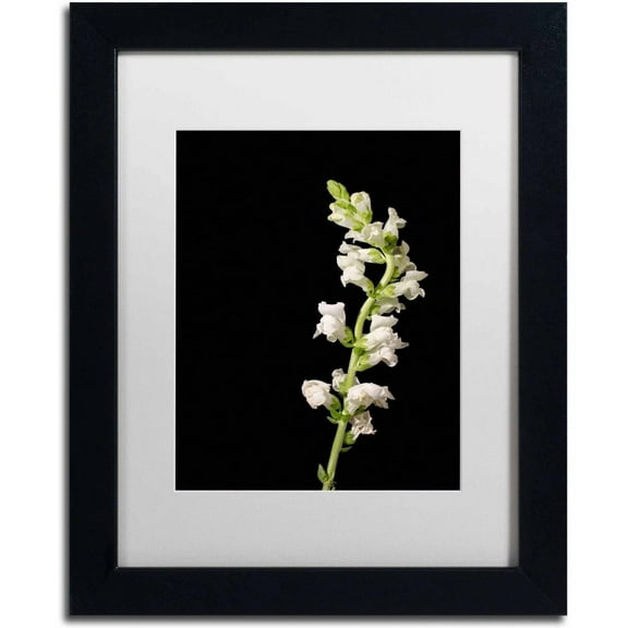 Trademark Fine Art 'White Snapdragons' Canvas Art by PIPA Fine Art, White Matte, Black Frame