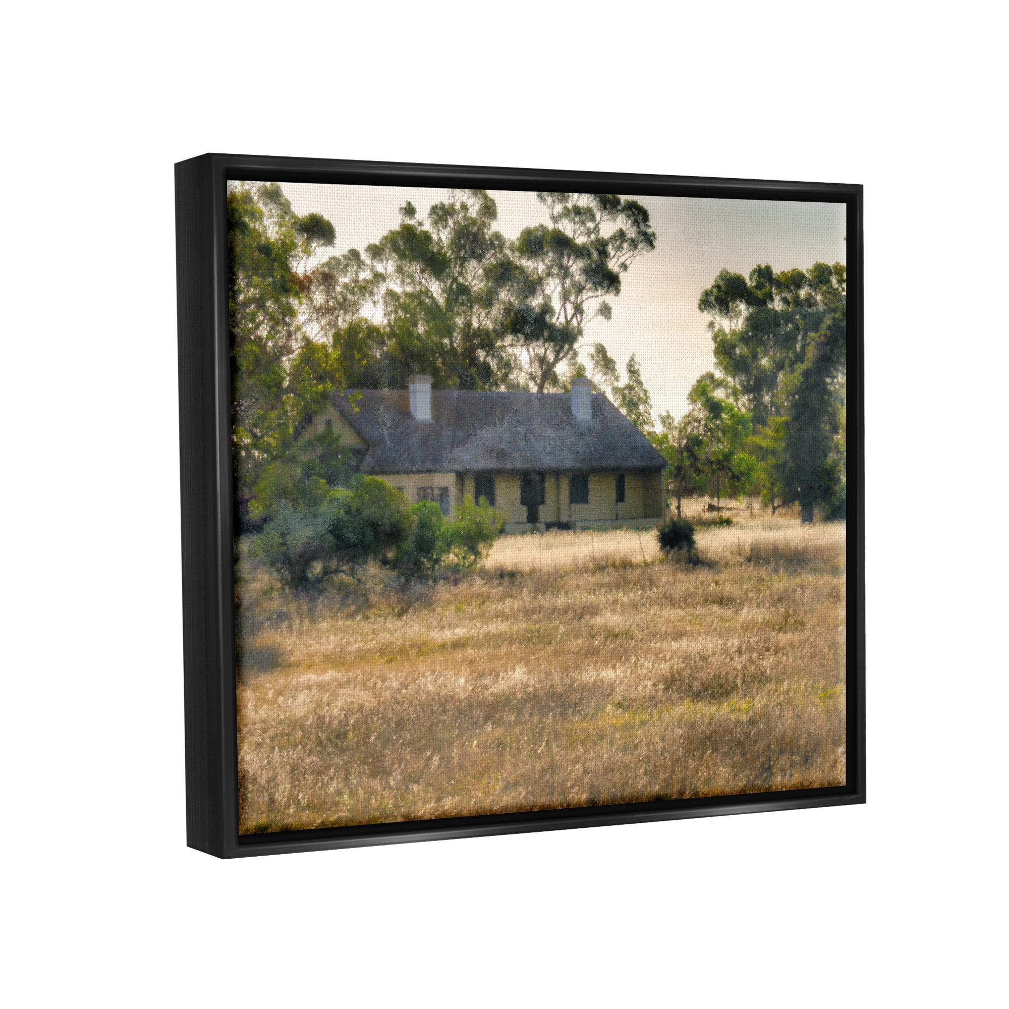 Stupell Industries Rural Cabin Grassy Landscape Landscape Photography Black Floater Framed Art Print Wall Art