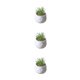 thumbnail image 5 of Billuyoard Plantas suculentas artificiales Simulación Bonsai Fake Flower Potted Party Type1 NO1, 5 of 6