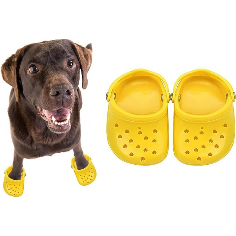 Little shoes for dogs hot sale