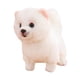 thumbnail image 4 of Muñeco de peluche de perro abrazable, adorable, realista, mimoso y tierno. pomeranio, 4 of 9