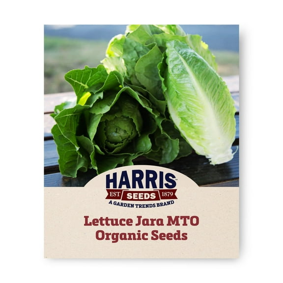 Harris Seeds - Lettuce Seeds - Jara Mto Organic Variety - Heat Resistance Plants - 50 Seeds