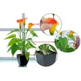 thumbnail image 3 of Coofit Fleur en Pot Artificielle Lys Calla Simulé Plante en Pot pour Déco Maison, 3 of 8