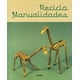 thumbnail image 1 of RECICLA MANUALIDADES INSTITUTO MONSA DE EDICIONES JOSEP MARIA MINGUET, 1 of 2