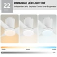 thumbnail image 5 of LEDET 22 in. White 3-ABS Blades Smart Indoor Ceiling Fan with Remote and Light Kit, 5 of 8