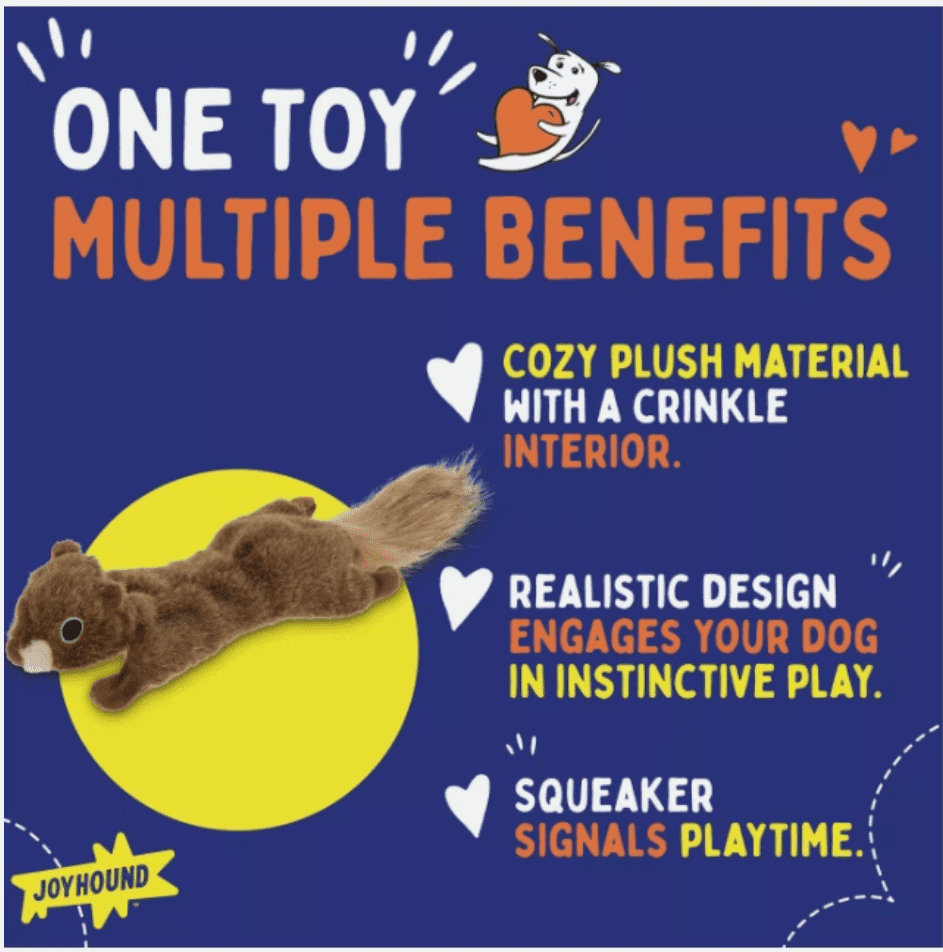 Joyhound Crazy Comfy Realistic Squirrel Flattie Dog Toy - Crinkle, Squeaker