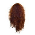 thumbnail image 2 of SUCS Sexy Women Girl Long Gradient Wig Wavy Curly Synthetic Fashion Wig Hot, 2 of 3