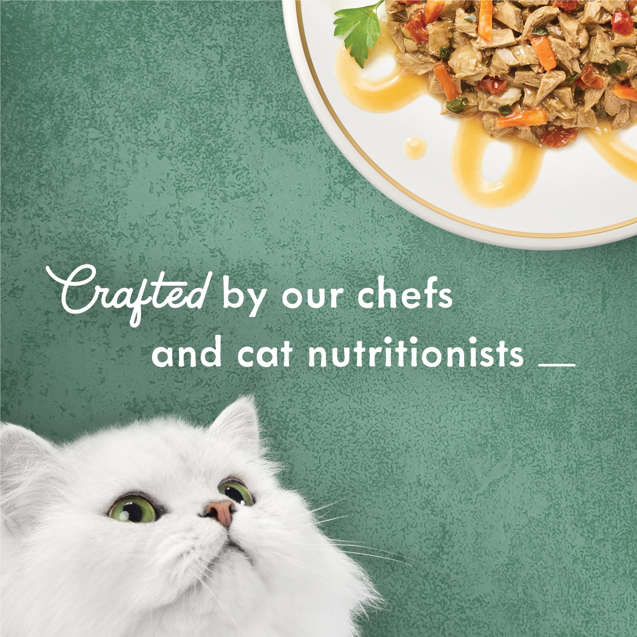 (24 pack) Purina Fancy Feast Medleys Kitten Food, Wet Cat Food, Chicken Primavera, 3 oz Cans