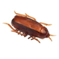 thumbnail image 2 of Juguete Electrónico de Cucarachas, Plástico Portátil de Juguete falso cucaracha para una una decoración espeluznante, 2 of 7