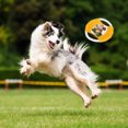 One Punch Man Dog Toys Flying Disc Rope Toy Chew Toys for Dogs Flying Discs Training Cotton Rope