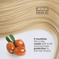 thumbnail image 6 of Hellawell Professionals BLONDISH PLEX + 9 | Hair Bleaching Powder | Plex Hair Bleach | Highlights | Hair Lightener | Plex | Lightens more than 9 Tones | 180gr | 6.34oz, 6 of 6