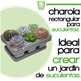 thumbnail image 2 of Kit 3 Charola moderna rectangular para suculentas Smart Garden  Gris, 2 of 6