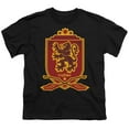thumbnail image 2 of Harry Potter Gryffindor Broomstick Badger Logo Kids T Shirt (Medium) for Youth Toddler Boys and Girls, Black, 2 of 5
