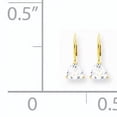 thumbnail image 2 of Primal Gold 14 Karat Yellow Gold 6mm Trillion Cubic Zirconia Leverback Earrings, 2 of 4