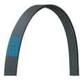 thumbnail image 4 of Dayco Serpentine Belt 5040305 Poly Rib; OE Replacement; 30.51 Inch Length, 4 of 4