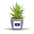 thumbnail image 1 of Outline Flag State Kentucky Fake Pineapple Flower Pot Vase Mini Decor, 1 of 3