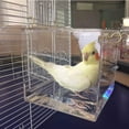 thumbnail image 4 of Spacious Bird Bath with Acrylic Hanging Hooks for Parrots, 4 of 5
