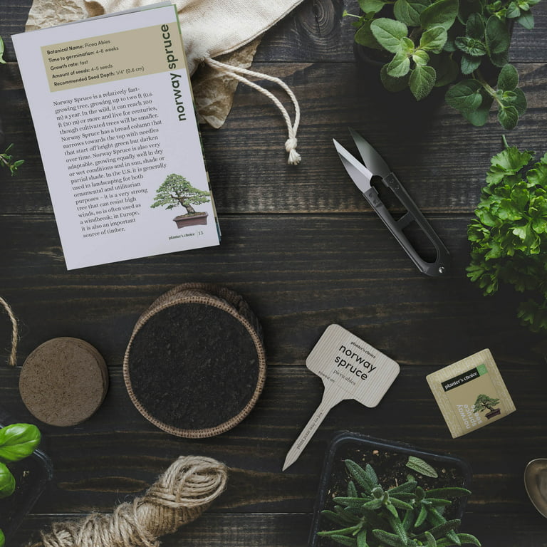 Bonsai Starter Kit - DIY Bonsai Gardening Gift - Garden Hobbies