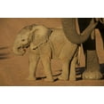 thumbnail image 2 of Anon, Josh 24x17 Gold Ornate Wood Framed with Double Matting Museum Art Print Titled - South Africa Baby elephant plays with a branch, 2 of 4