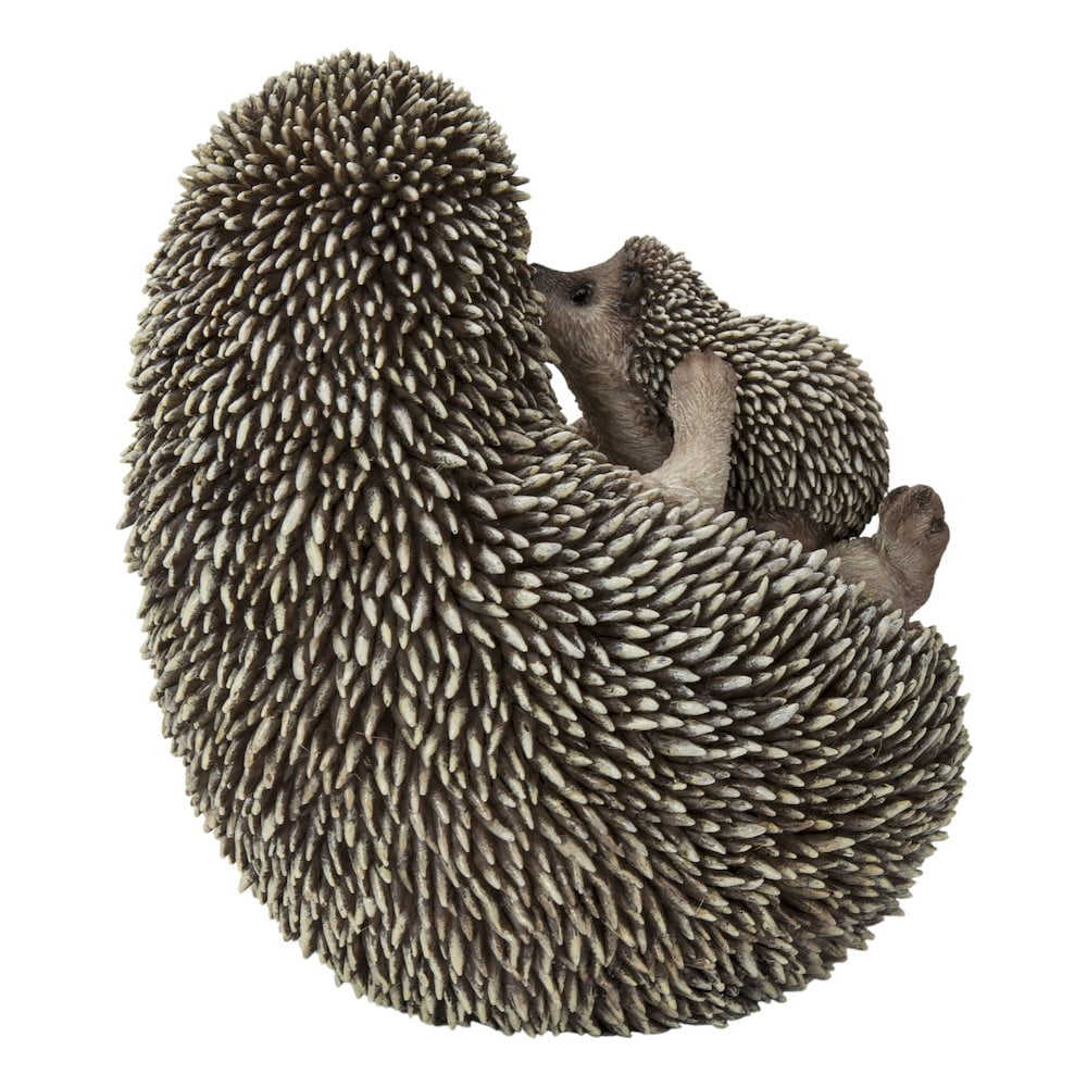 Mother & Baby Hedgehogs on Back