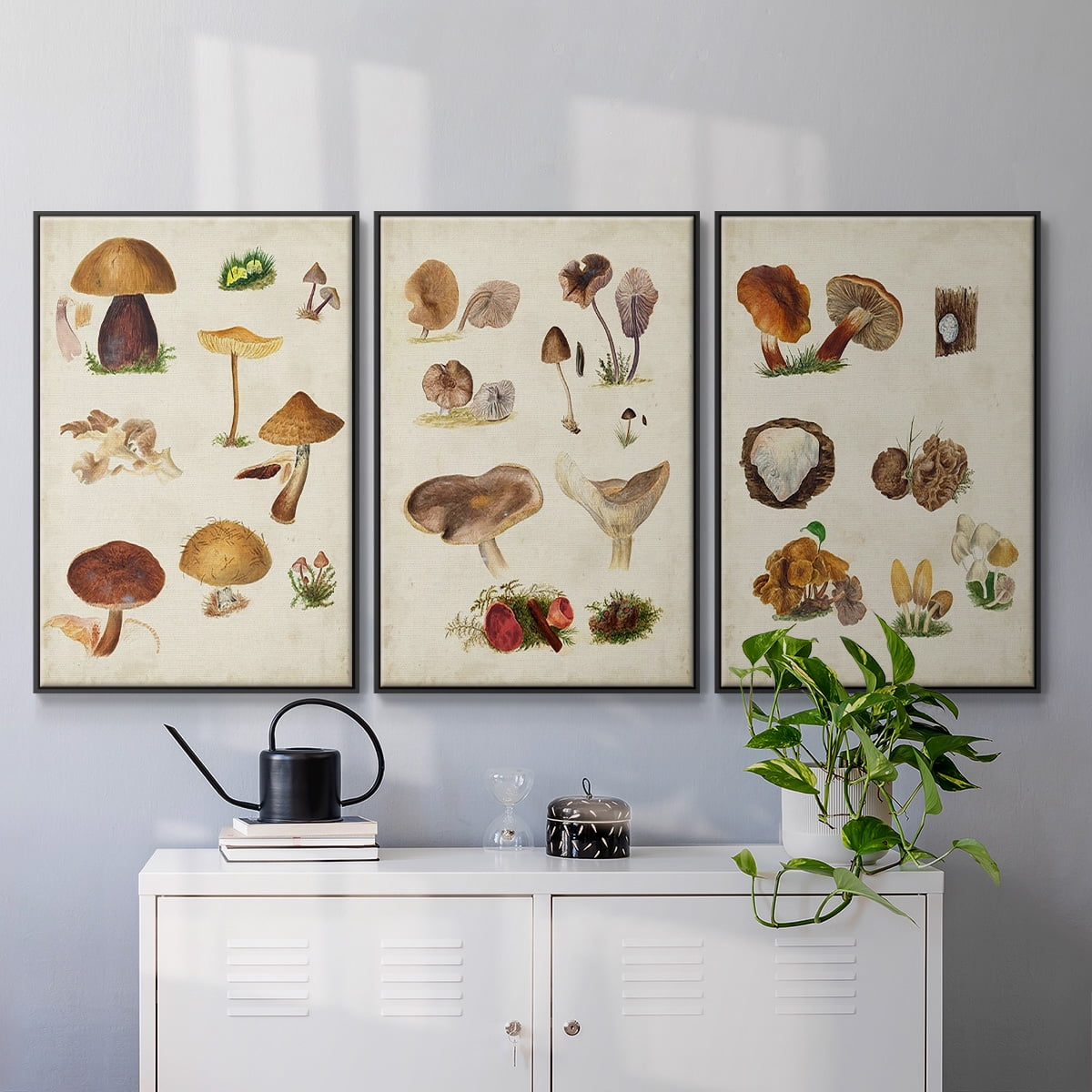 Mushroom Species I - Framed Premium Gallery Wrapped Canvas L Frame 3 Piece Set - Ready to Hang
