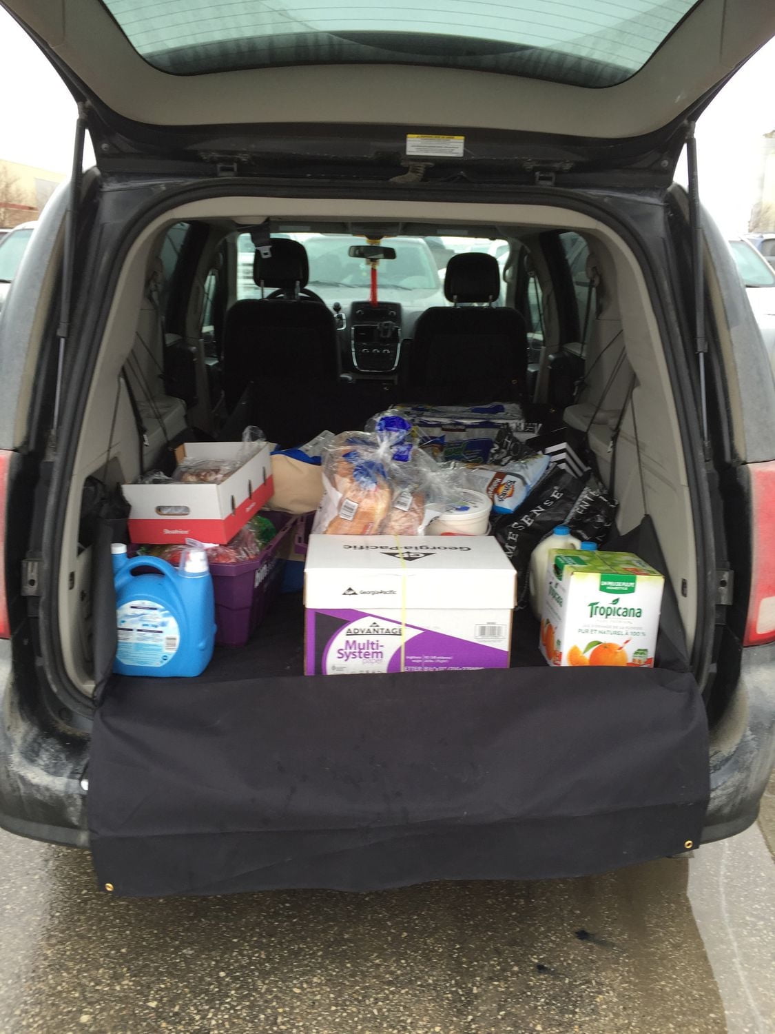 Cargo Liner Small Vehicle Cargo Liner