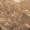 Toffee, variant on Laura Geller Baked Balance-N-Glow Illuminating Foundation Tan 0.28 oz