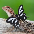 thumbnail image 4 of 1 Set Lizard Leash Gecko Traction Rope Walking Lizard Rope Lizard Harness Leash Reptile Pet Leash, 4 of 8