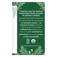 thumbnail image 3 of Té de cúrcuma Traditional Medicinals filipéndula y jengibre orgánico 32 g, 3 of 5