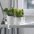 thumbnail image 4 of Greenadscape 3Ud De Gancho Para Con Seguro Para Y Accesorios En Casa Y Oficina, 4 of 8