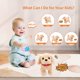 thumbnail image 2 of Monealpis Interactive Walking Dog Toy - Toddler Walking Plush Dog Toys for Kids, Toys for Girls 2 Years Old - Electronic Golden Retriever Plush Toy with Singing, Barking, and Talking, 2 of 5