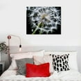 thumbnail image 4 of COMIO - Black and White Dandelion Canvas Print,Close-up Dewdrop on Floral Multi Pieces Wall Art,Modern Home Wall Decor Ready to Hang, 4 of 4