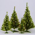 thumbnail image 1 of Vickerman 30" Canadian Pine Artificial Christmas Tree with 35 Multi-Colored Lights, 1 of 1