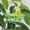 E, variant on Gosuguu Metal Garden Stake with Hand-Painted Non-Woven Flowers for Outdoor Yard Decoration