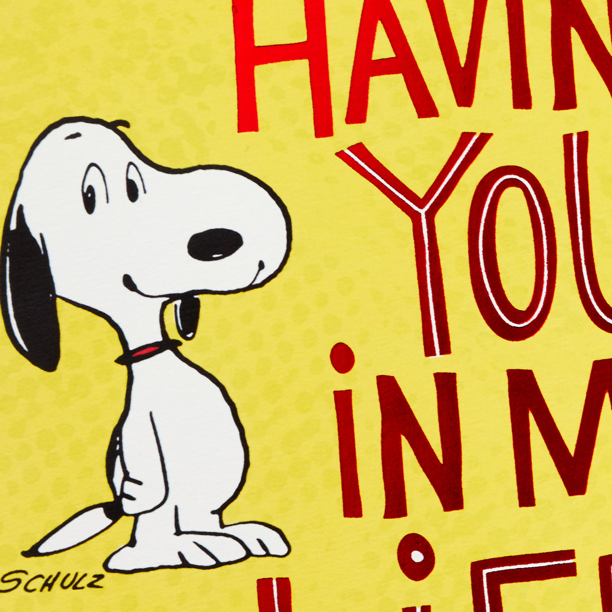 Hallmark Peanuts Pop-Up Birthday Card (Snoopy Put the Happy in My Dance)