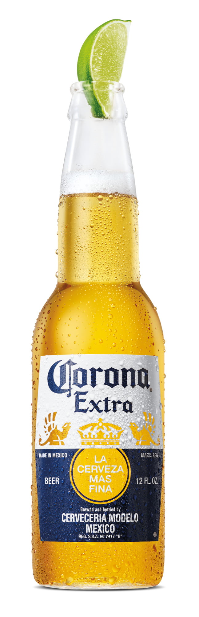 Corona Extra 12 Pack Bottles Price - Eyebrows Idea