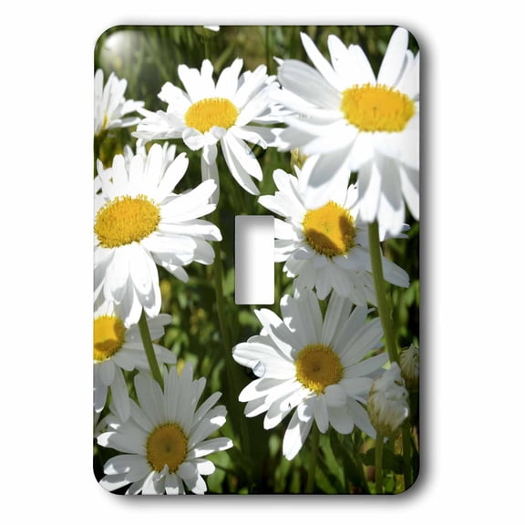 3dRose, White Daisy Garden- Flowers- Floral Photography, single toggle switch