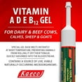 thumbnail image 4 of Kaeco Group Inc. Vitamin A-D-E-B12 Gel 300 ml, 4 of 4