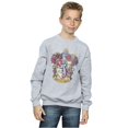 thumbnail image 4 of Harry Potter Boys Gryffindor Sweatshirt, 4 of 7