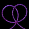 thumbnail image 3 of 18' Purple Indoor/Outdoor Christmas Rope Lights - 1" Bulb Spacing, 3 of 3