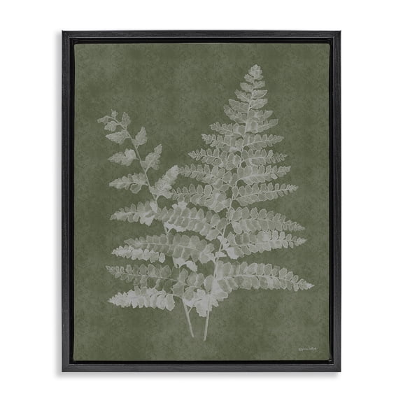 Stupell Industries French Country Green Rustic Ferns Black Floating Frame Canvas Art, 17 x 21, by Annie LaPoint