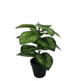 thumbnail image 1 of Planta artificial Brillar de simulación de flores falsas manzana verde grande en maceta, 1 of 5