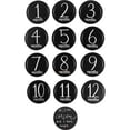 thumbnail image 2 of Primitives Milestone Disc Set - Month, 2 of 2