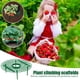 thumbnail image 1 of Plantas de Plantas, Plantas y Animales, Plantas y Animales, Pudris y Pudines, Instalars, Ideal Temporadas, 2 Piezos, 30 Cm de Diámetro, Diseño Extraíble., 1 of 7
