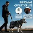 thumbnail image 4 of AeeGee Dog Hip Knee Brace,for Dogs with Hip Injuries or Post - Surgery Recovery,easy to Wear,Provides Support for Dog's Back and Hips, 4 of 6