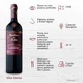 thumbnail image 2 of Vino Tinto Concha y Toro Casillero del Diablo Devil's Carnaval Spectacular Cabernet 750 ml, 2 of 4